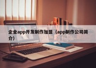 企业app开发制作加盟（app制作公司简介）