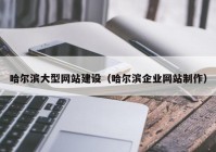 哈尔滨大型网站建设（哈尔滨企业网站制作）