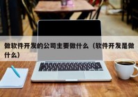 做软件开发的公司主要做什么（软件开发是做什么）