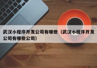 武汉小程序开发公司有哪些（武汉小程序开发公司有哪些公司）