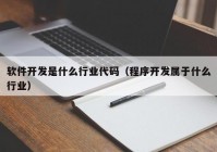 软件开发是什么行业代码（程序开发属于什么行业）