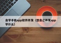 自学手机app软件开发（想自己开发app学什么）