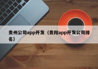 贵州公司app开发（贵阳app开发公司排名）