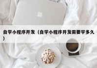 自学小程序开发（自学小程序开发需要学多久）