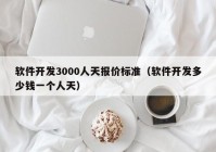 软件开发3000人天报价标准（软件开发多少钱一个人天）