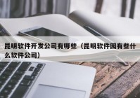 昆明软件开发公司有哪些（昆明软件园有些什么软件公司）