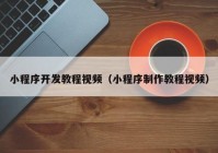 小程序开发教程视频（小程序制作教程视频）