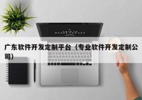 广东软件开发定制平台（专业软件开发定制公司）