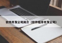 软件开发公司简介（软件程序开发公司）