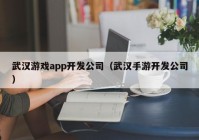 武汉游戏app开发公司（武汉手游开发公司）