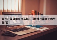 软件开发公司有什么部门（软件开发属于哪个部门）