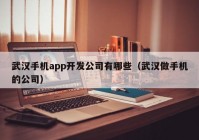 武汉手机app开发公司有哪些（武汉做手机的公司）