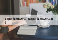 app开发团队分工（app开发团队分工表）